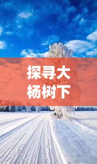 大杨树下的冬日鼓舞之旅，宁静与力量的探寻