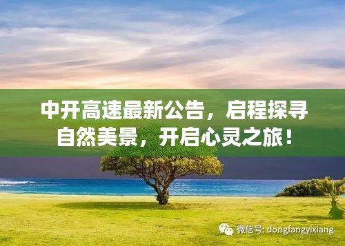中开高速最新公告，启程心灵之旅，探寻自然美景之旅！