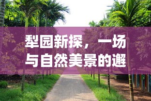 犁园新探，邂逅自然美景，寻觅内心宁静与喜悦之旅