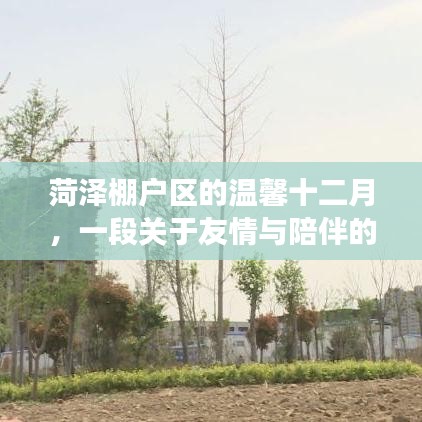 菏泽棚户区的温馨十二月，友情与陪伴的感人故事