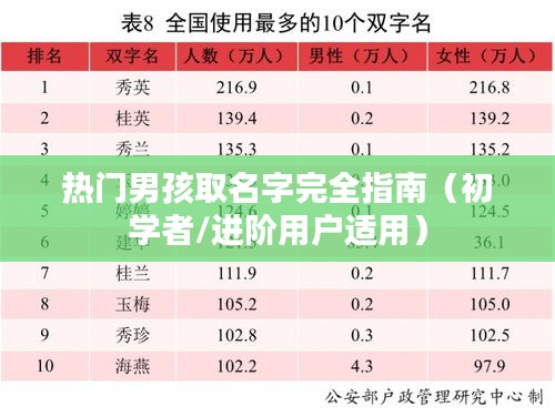 热门男孩取名宝典，初学者与进阶用户的完全指南