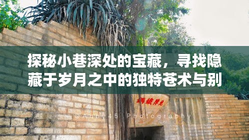 凤毛麟角 第4页