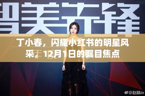 丁小春，小红书明星风采闪耀，瞩目焦点12月1日亮相