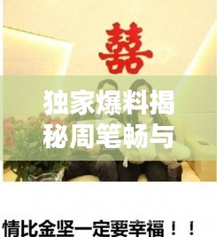 独家爆料，周笔畅与孙坚十二月最新动态揭秘，惊喜不断！