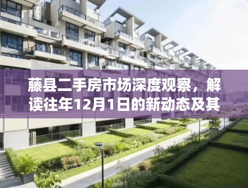 藤县二手房市场深度观察，往年新动态解读及影响分析