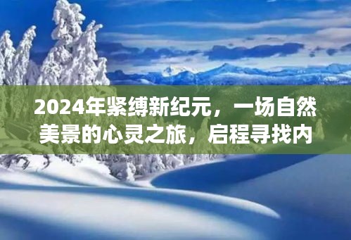 2024紧缚新纪元，心灵之旅探寻内心宁静与平和