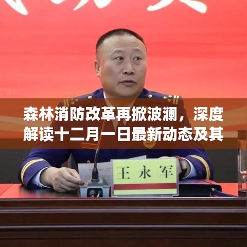森林消防改革最新动态深度解读，十二月一日新动向及其长远影响