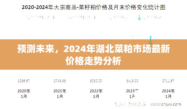 2024年湖北菜粕市场最新价格走势分析与预测
