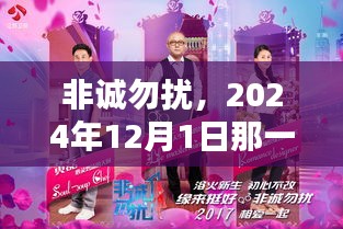 非诚勿扰，2024年12月1日特别嘉宾闪耀登场