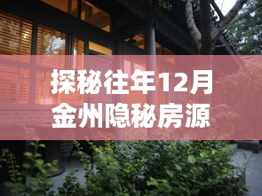 探秘往年12月金州隐秘房源，小巷特色租房新宠揭秘！