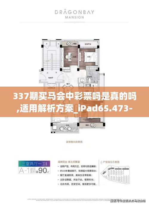 337期买马会中彩票吗是真的吗,适用解析方案_iPad65.473-9