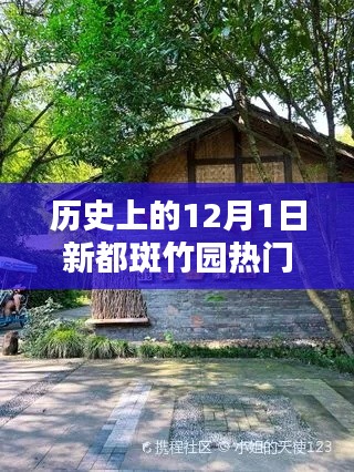 自作主张 第4页