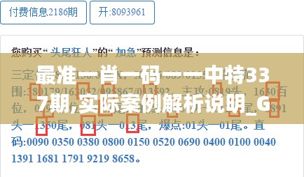 最准一肖一码一一中特337期,实际案例解析说明_GM版89.256-3