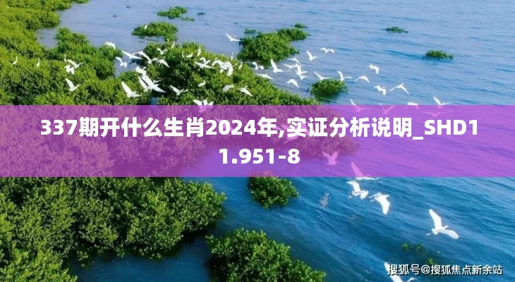 337期开什么生肖2024年,实证分析说明_SHD11.951-8