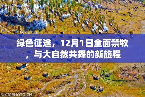 绿色征途，12月1日起全面禁牧，开启共舞自然的征程