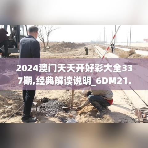2024澳门天天开好彩大全337期,经典解读说明_6DM21.689-3