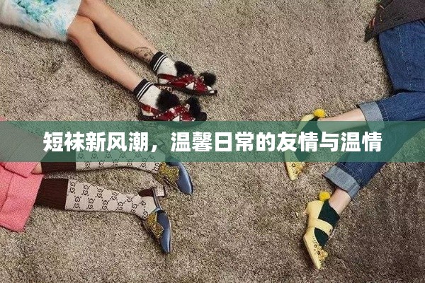 短袜新风潮，日常友情与温情的温馨演绎