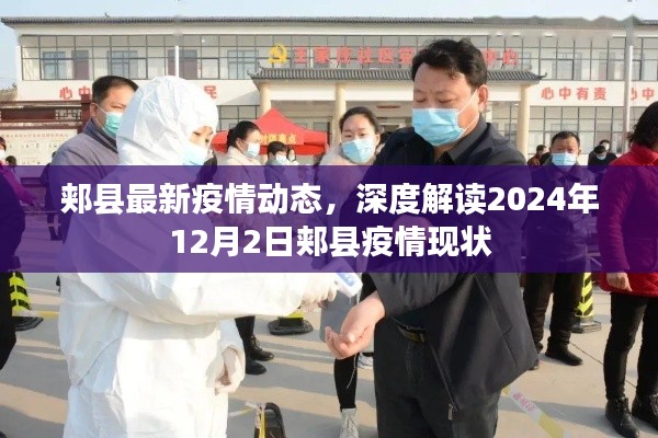 郏县疫情最新动态，深度解读2024年疫情现状