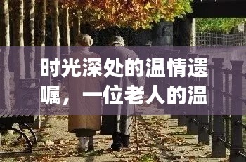 时光深处的温情遗嘱，老人温馨告别与情感传承的故事