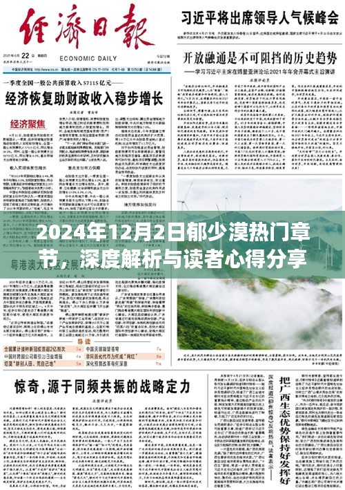郁少漠热门章节深度解析与读者心得分享（2024年12月2日）