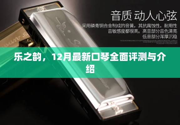 乐之韵，最新口琴全面评测与介绍