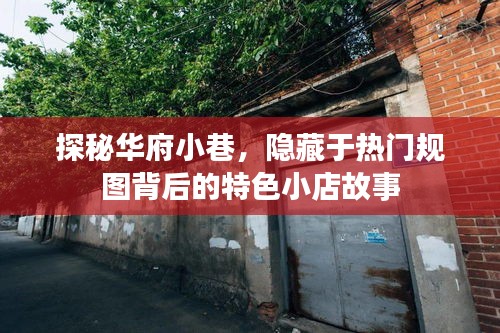 探秘华府小巷，规图背后的特色小店故事揭秘