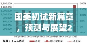 国美初试新篇章，艺术领域崭新起航的预测与展望（2024年12月2日）