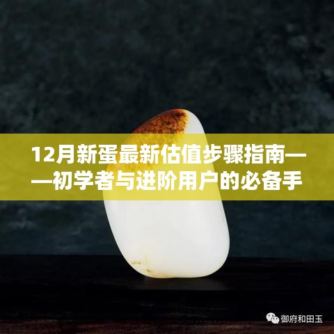 12月新蛋估值步骤详解，从初学者到进阶用户的实用指南