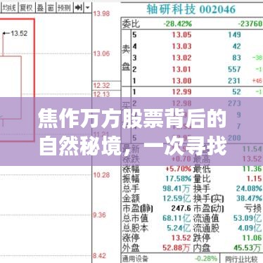 焦作万方股票背后的自然秘境，心灵平静之旅