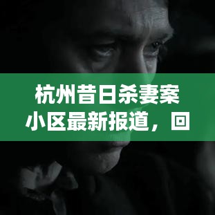 杭州昔日杀妻案小区最新进展，案件回顾、进展与时代影响全解析