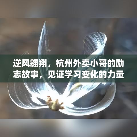 艰苦卓绝 第4页