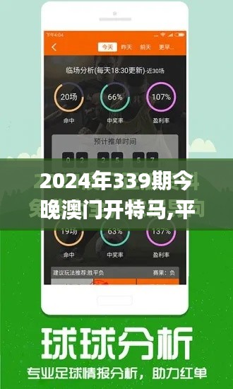 2024年339期今晚澳门开特马,平衡实施策略_D版64.787-5
