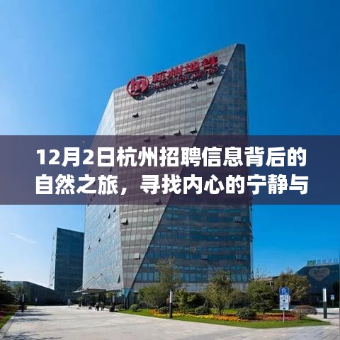 寻找内心的宁静与风景之美，杭州招聘信息背后的自然之旅