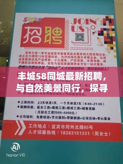 丰城最新招聘与自然美景同行，探寻内心平静的奥秘之旅