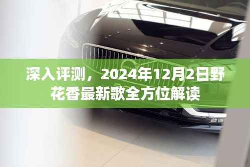 独家深度解读，野花香最新歌曲全方位赏析（2024年）