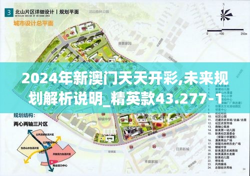 2024年新澳门天天开彩,未来规划解析说明_精英款43.277-1