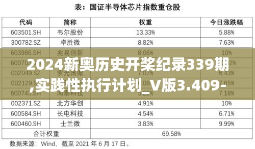 2024新奥历史开桨纪录339期,实践性执行计划_V版3.409-9