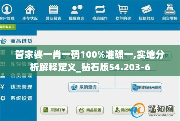 管家婆一肖一码100%准确一,实地分析解释定义_钻石版54.203-6