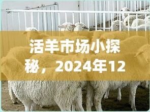 火伞高张 第4页
