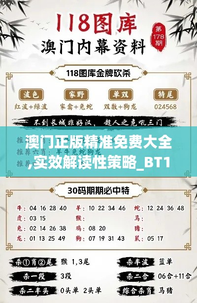 澳门正版精准免费大全,实效解读性策略_BT146.554-6