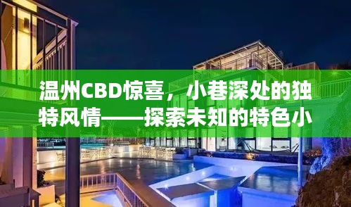 温州CBD惊喜揭秘，小巷深处的独特风情，探索未知的特色小店之旅