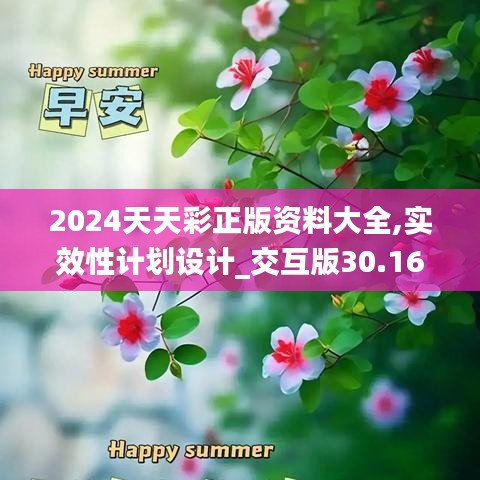 2024天天彩正版资料大全,实效性计划设计_交互版30.164-7