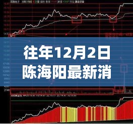 陈海阳最新消息，多维度视角下的观点碰撞与个人立场解读