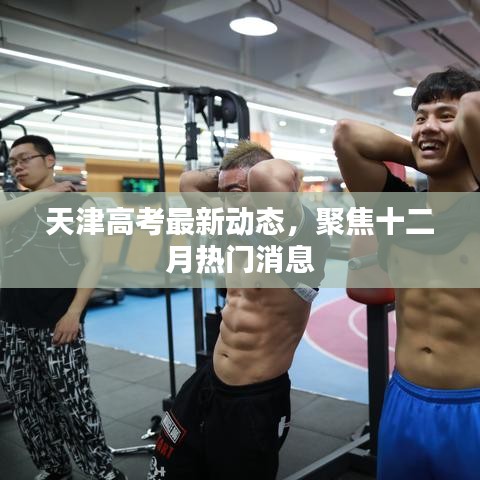 天津高考最新动态揭秘，十二月热门消息聚焦