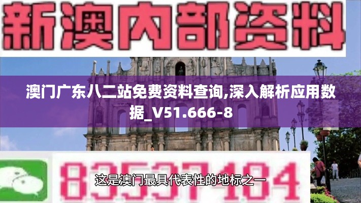 澳门广东八二站免费资料查询,深入解析应用数据_V51.666-8