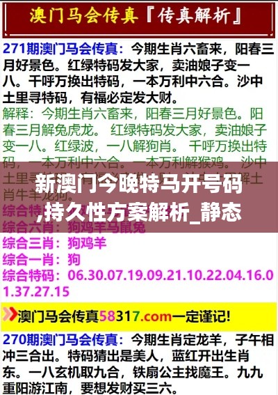 新澳门今晚特马开号码,持久性方案解析_静态版91.576-5