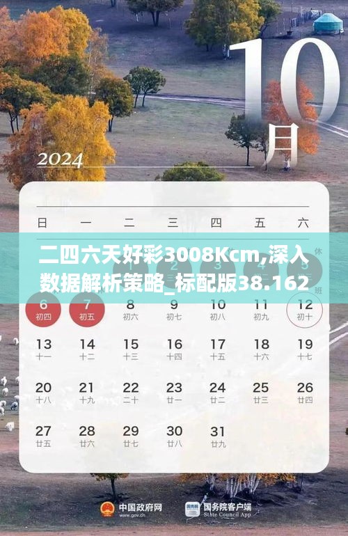 二四六天好彩3008Kcm,深入数据解析策略_标配版38.162-4