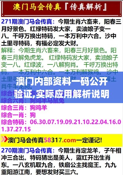 澳门内部资料一码公开验证,实际应用解析说明_C版152.547-6