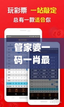 管家婆一码一肖最准资料,精细解答解释定义_iPad31.879-2