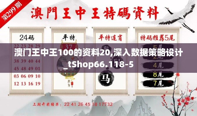 澳门王中王100的资料20,深入数据策略设计_tShop66.118-5